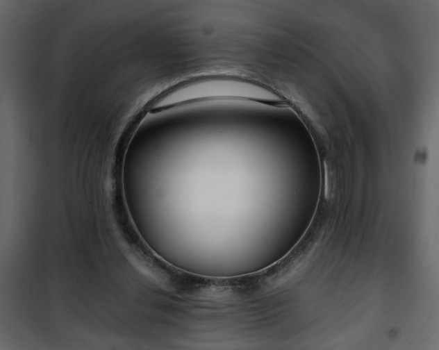 X0000102340252200808081137