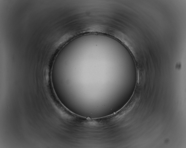 X0000102340253200808081137