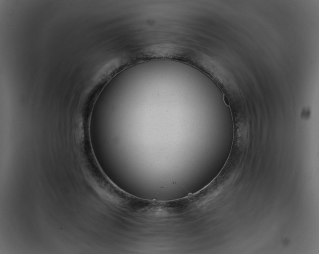 X0000102340254200808081137