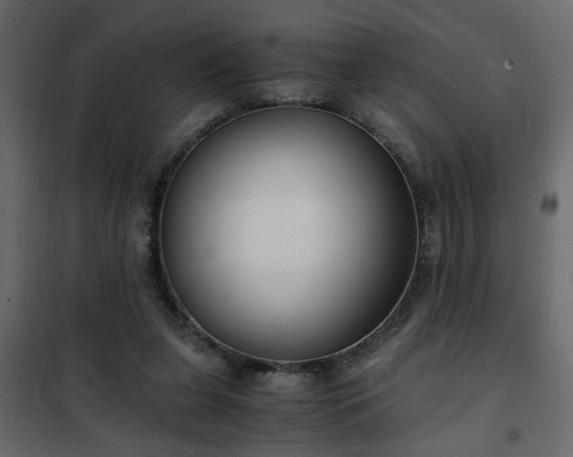 X0000102340255200808081137