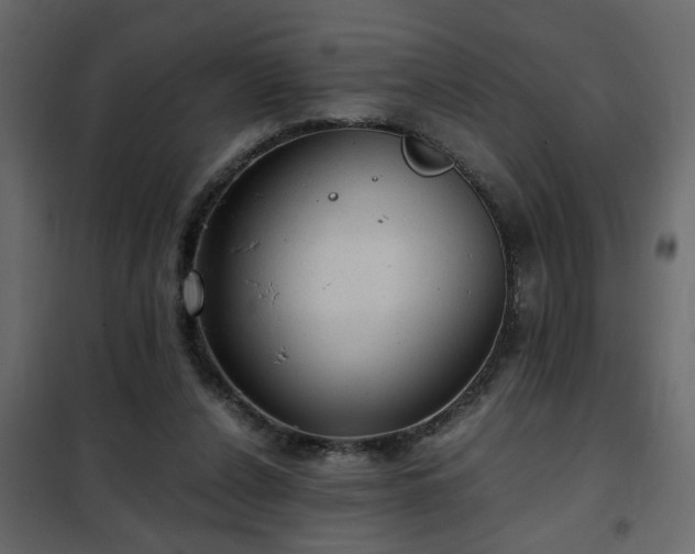 X0000102340256200808081137