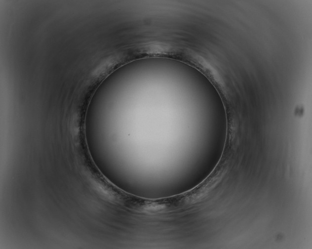 X0000102340257200808081137