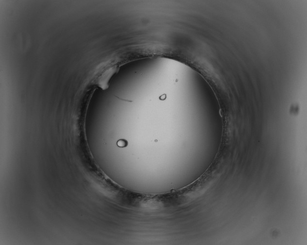 X0000102340258200808081137