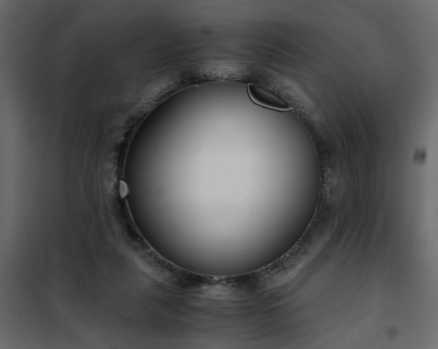 X0000102340259200808081138