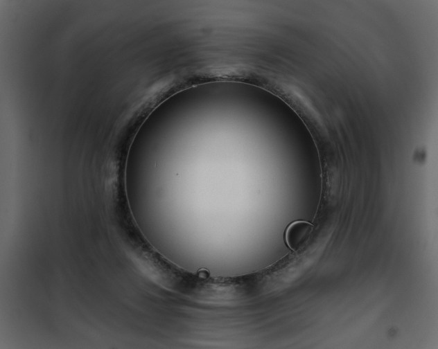 X0000102340260200808081138