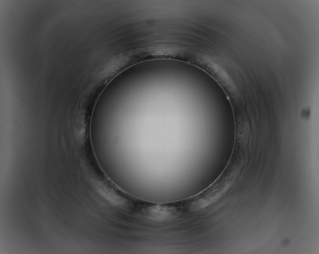 X0000102340261200808081138