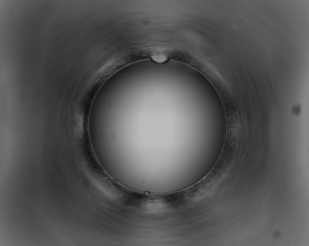 X0000102340262200808081138