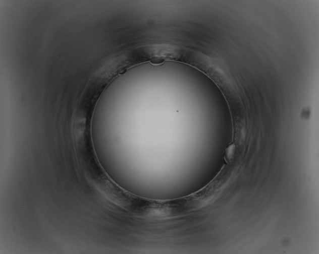 X0000102340263200808081138