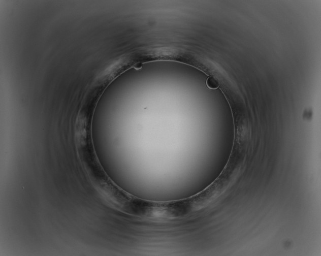 X0000102340264200808081138