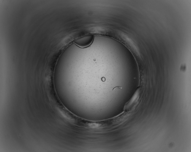 X0000102340265200808081138