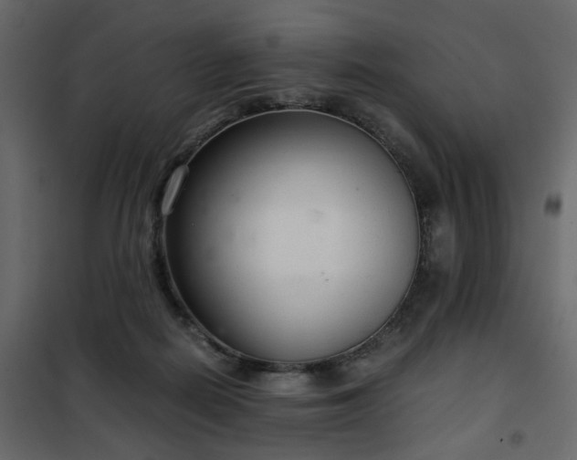 X0000102340266200808081138