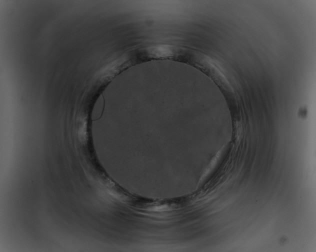 X0000102340267200808081138