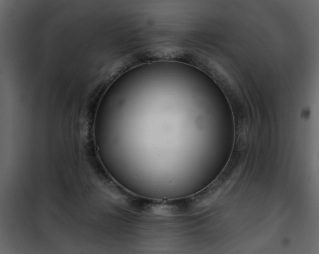 X0000102340268200808081138