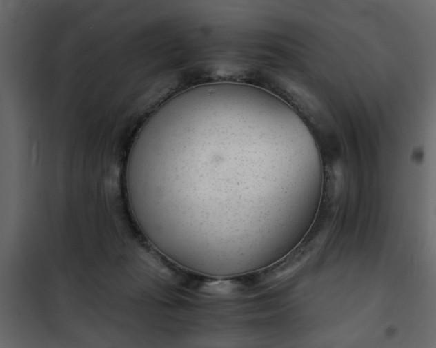 X0000102340269200808081138