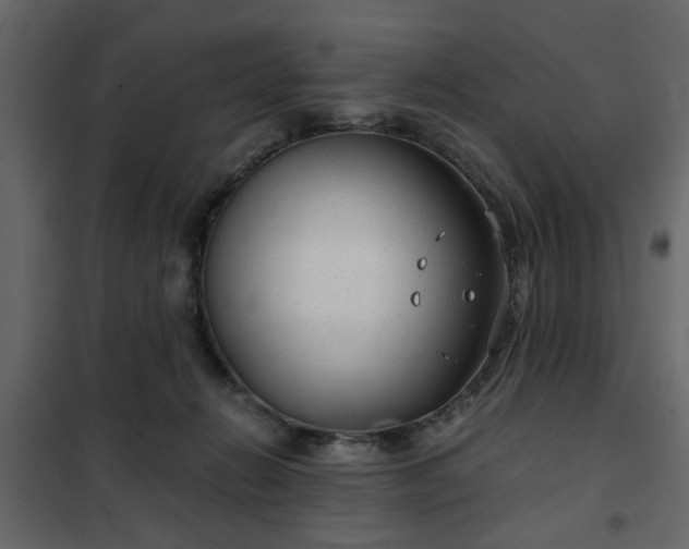 X0000102340270200808081138