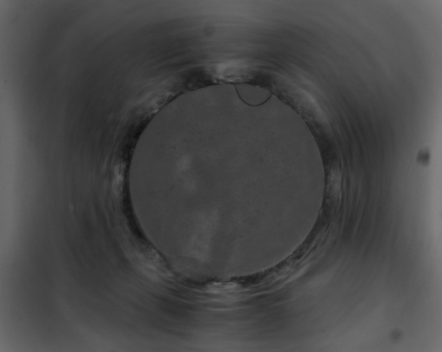 X0000102340271200808081138