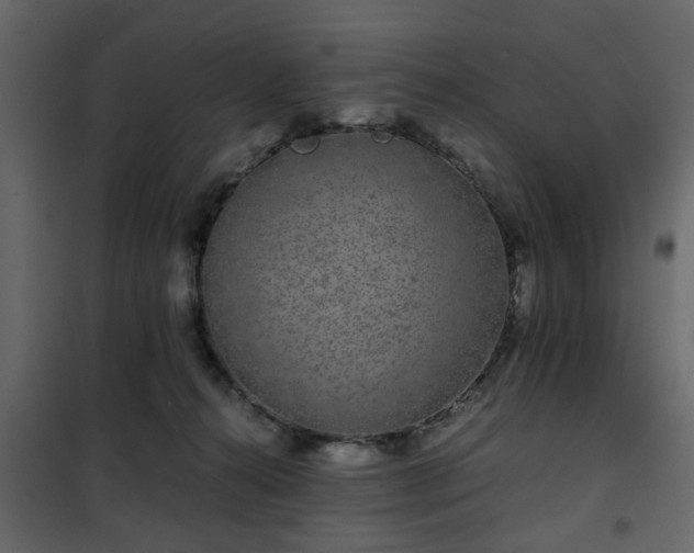 X0000102340272200808081138