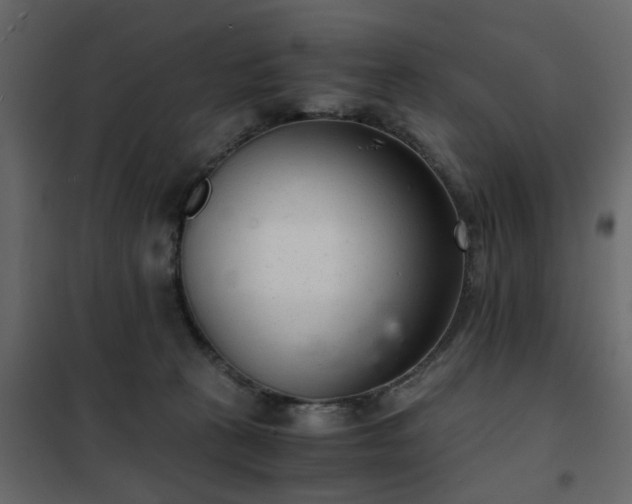 X0000102340273200808081138