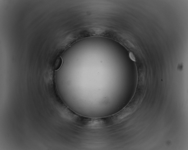 X0000102340274200808081138