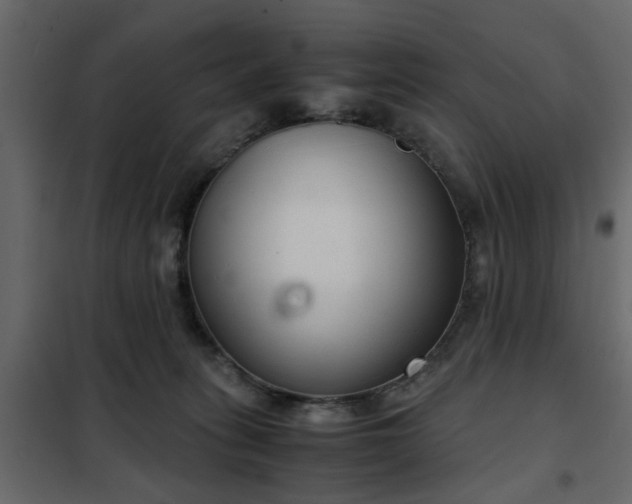 X0000102340275200808081138