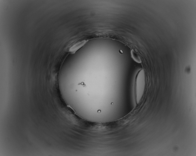 X0000102340276200808081138