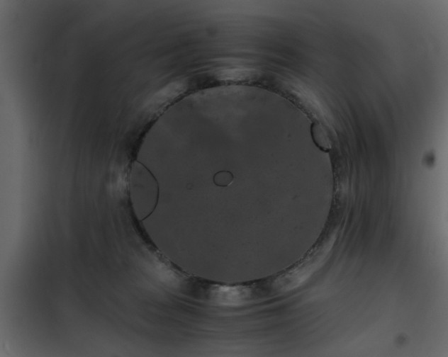 X0000102340277200808081138