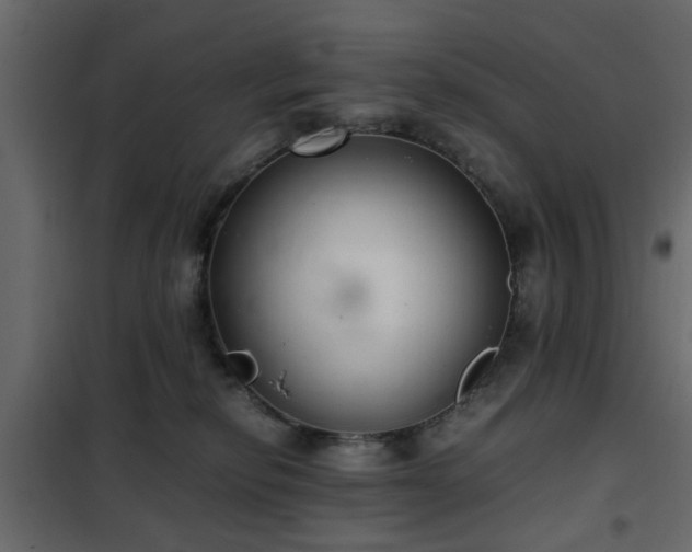 X0000102340278200808081138