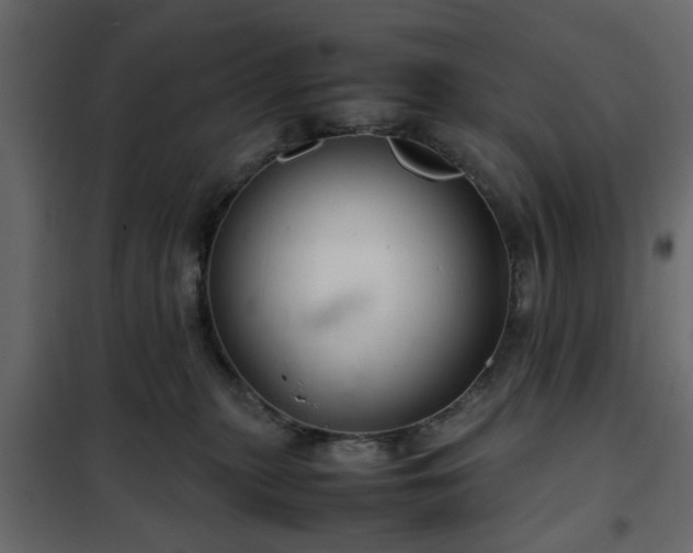 X0000102340279200808081138