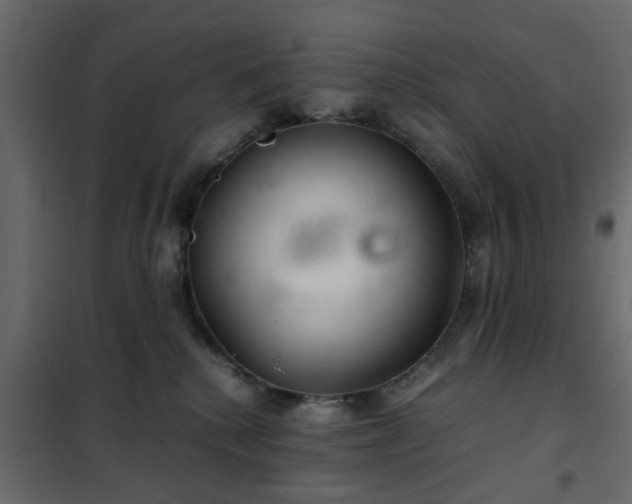 X0000102340280200808081138