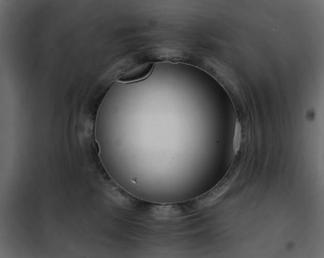 X0000102340281200808081138