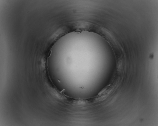 X0000102340282200808081138