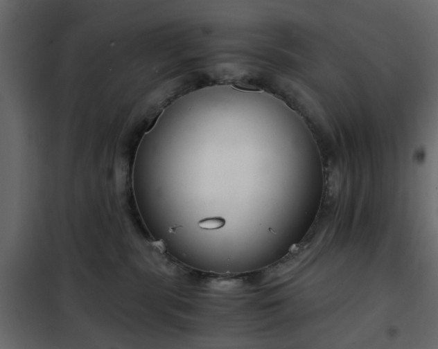 X0000102340283200808081138