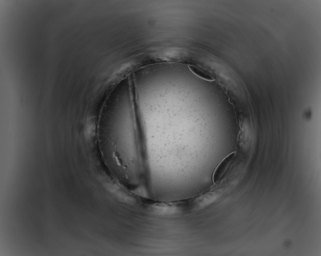 X0000102340284200808081138