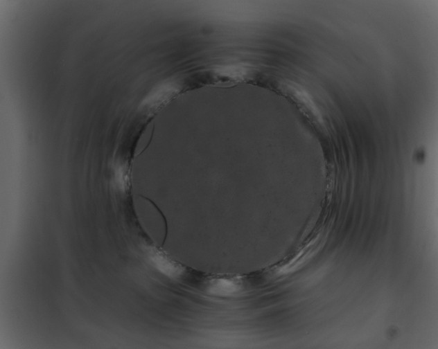 X0000102340285200808081138