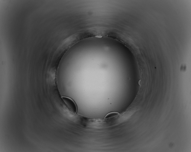 X0000102340288200808081138