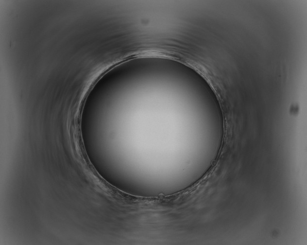 X0000102340289200808081137