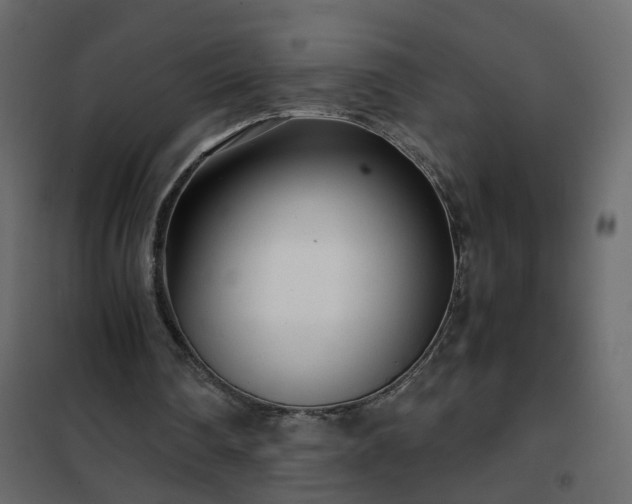 X0000102340290200808081137