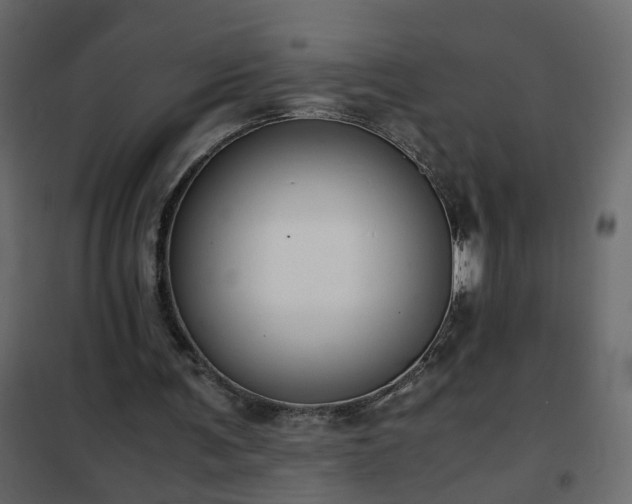 X0000102340291200808081137