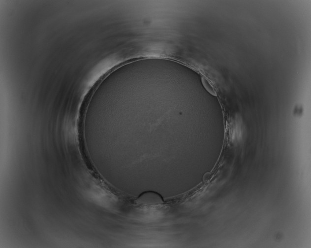 X0000102340292200808081137