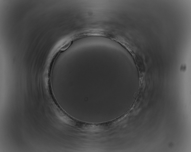 X0000102340293200808081137