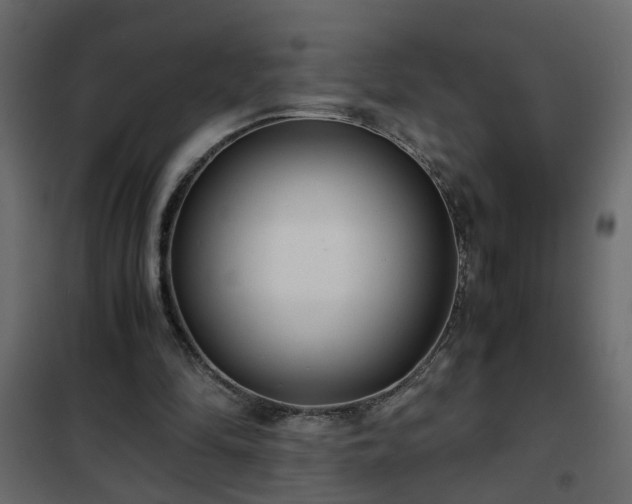 X0000102340294200808081137