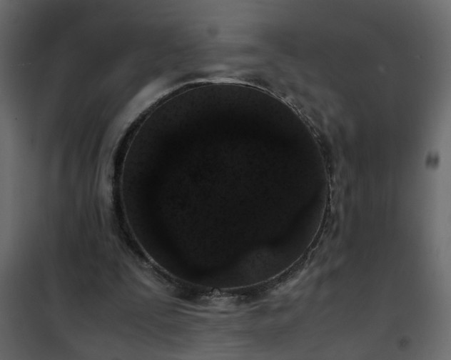 X0000102340295200808081137