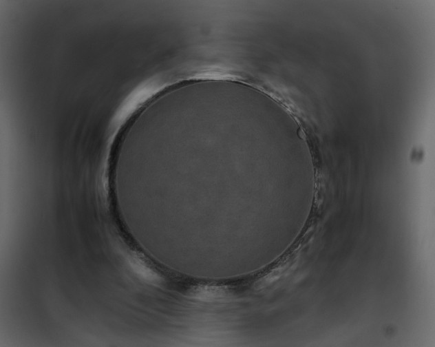 X0000102340296200808081137