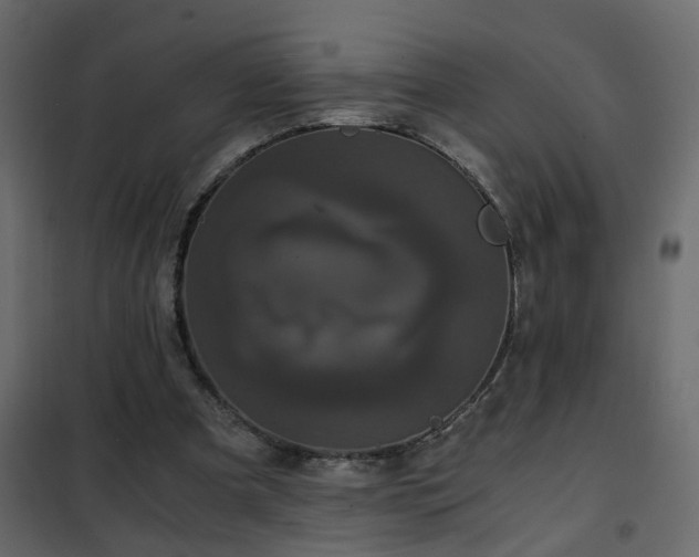 X0000102340297200808081137