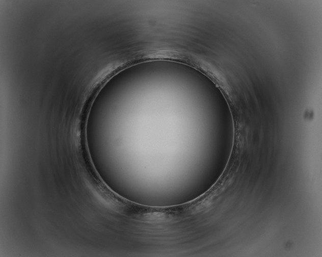 X0000102340298200808081137