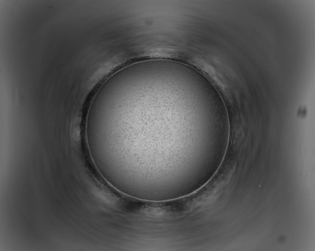 X0000102340299200808081137