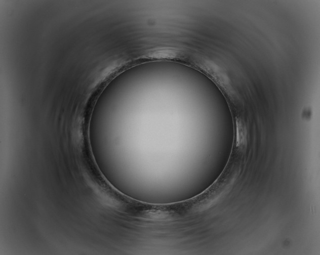 X0000102340300200808081137