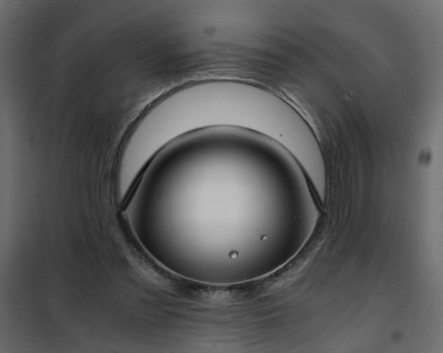 X0000102340301200808081137