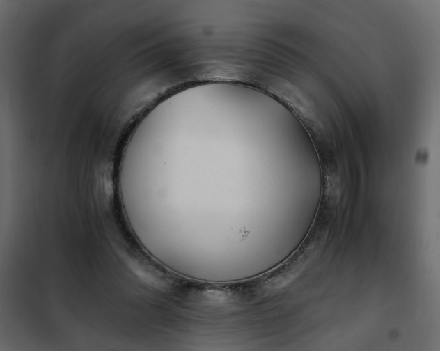 X0000102340302200808081137