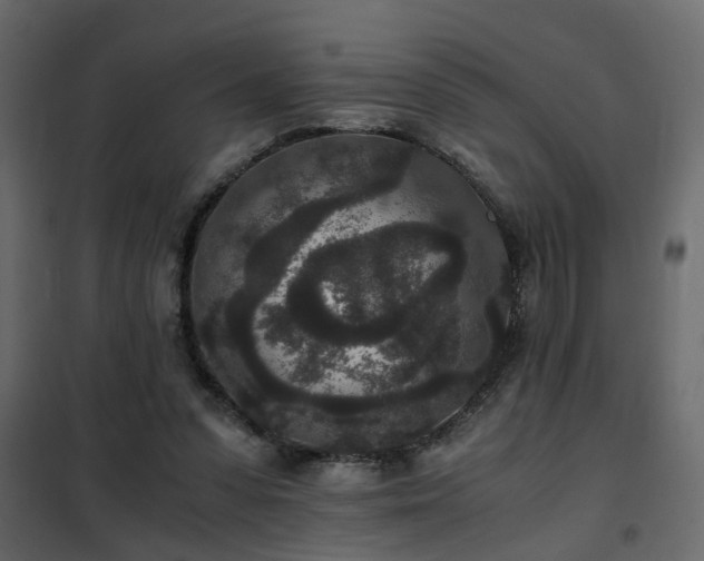 X0000102340303200808081137